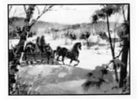 Image of horse-drawn sleigh